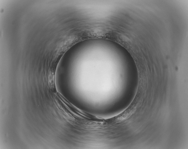 X0000086790624200704131241