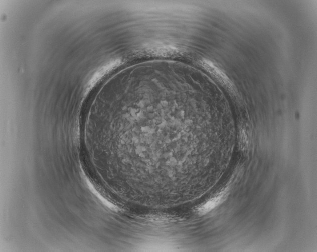 X0000086790630200704131241