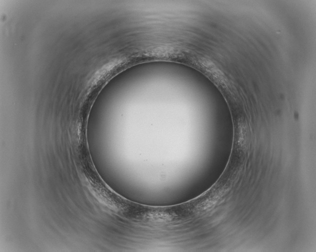 X0000086790636200704131241