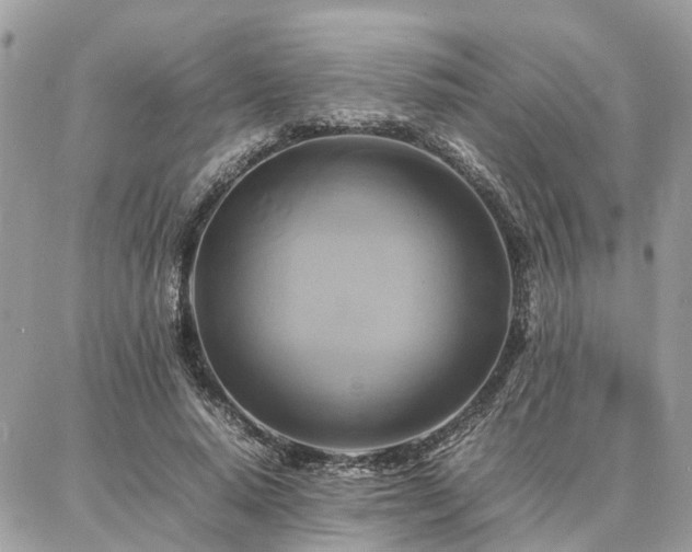 X0000086790640200704131241