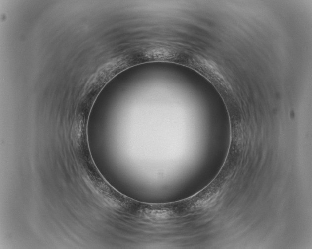 X0000086790645200704131241