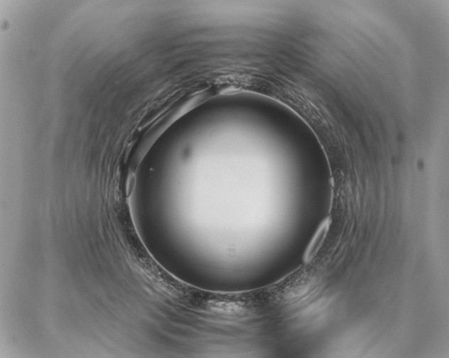 X0000086790649200704131241