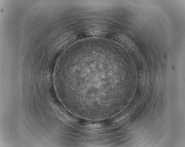 X0000086790653200704131241
