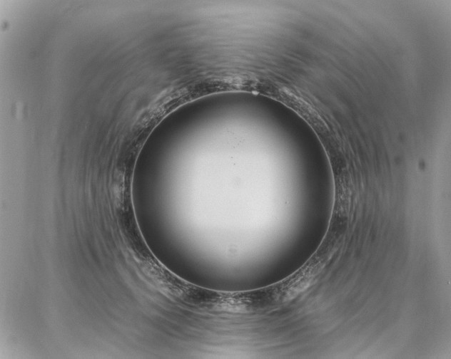 X0000086790656200704131241