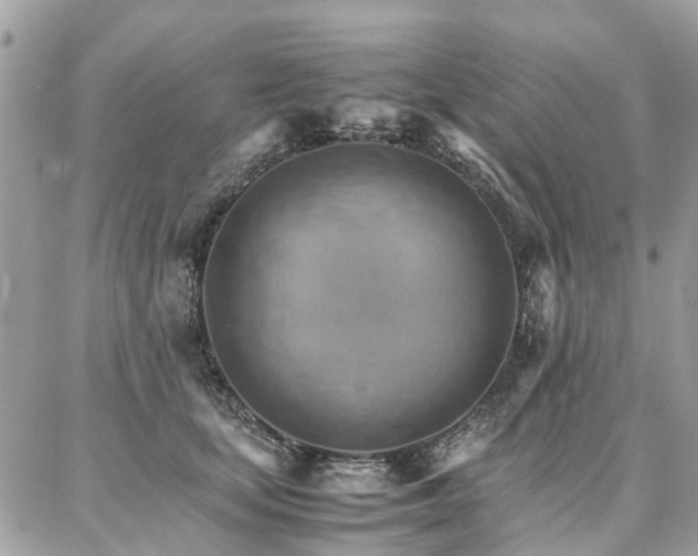 X0000086790659200704131241