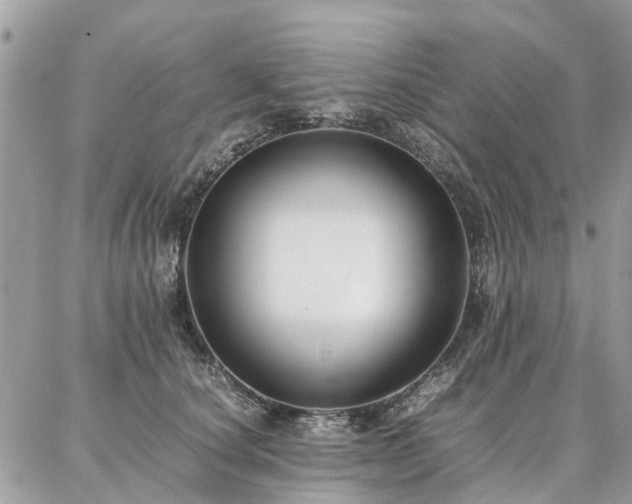 X0000086790660200704131241