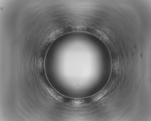 X0000086790662200704131241