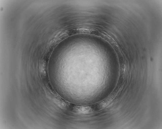 X0000086790663200704131241
