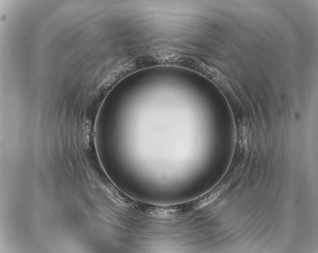 X0000086790664200704131241