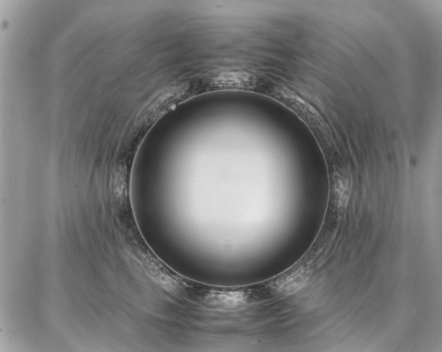X0000086790665200704131241