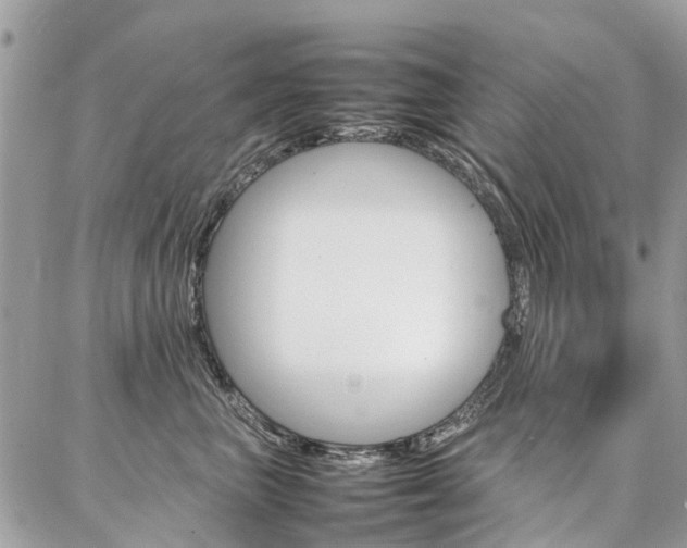 X0000086790667200704131241