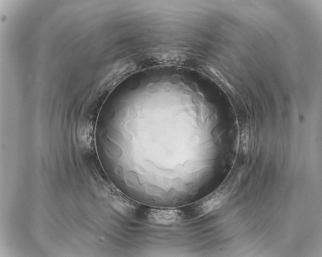 X0000086790671200704131241