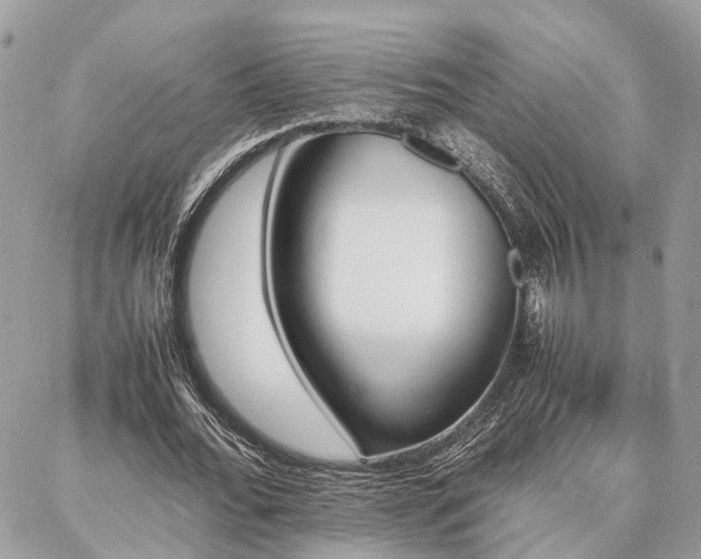 X0000086790676200704131241