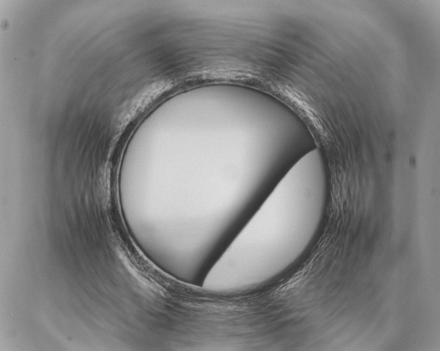 X0000086790678200704131241
