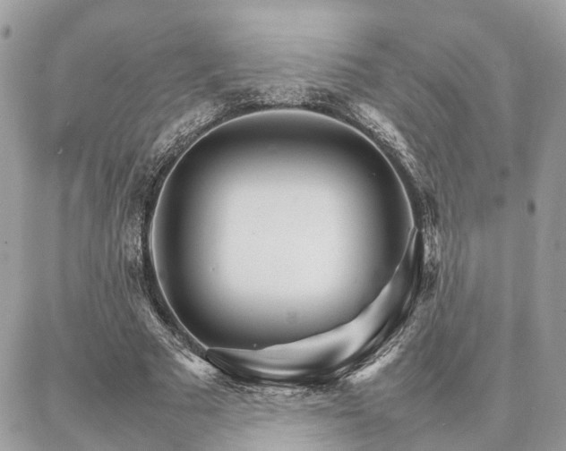 X0000086790681200704131241