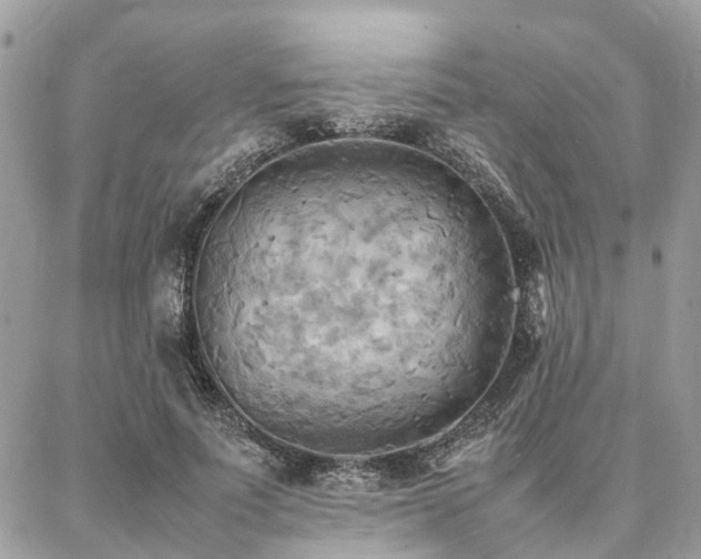 X0000086790691200704131240