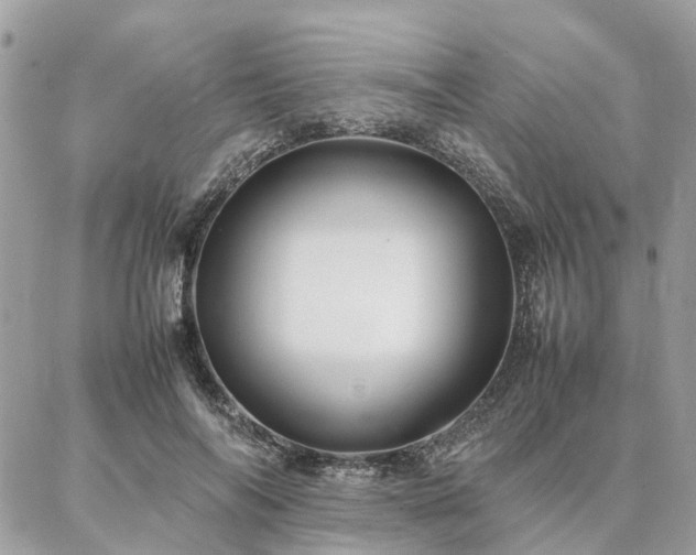 X0000086790694200704131240