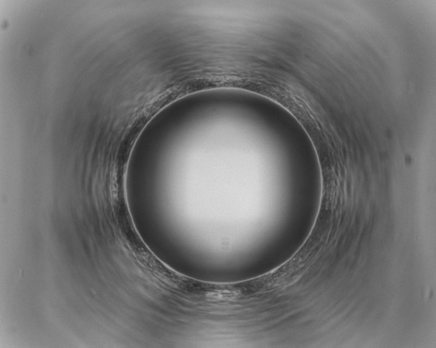 X0000086790700200704131240