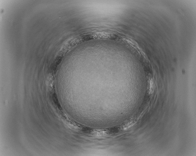 X0000086790701200704131240