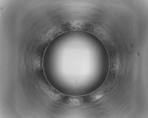 X0000086790706200704131240