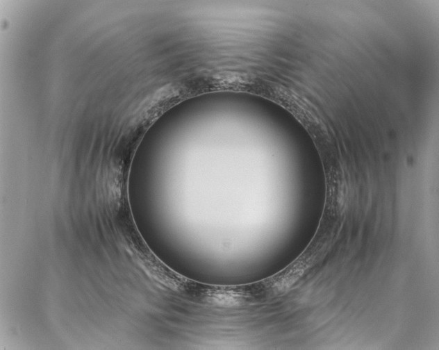 X0000086790710200704131240