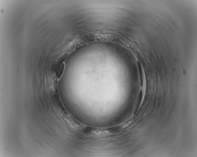 X0000086790712200704131240