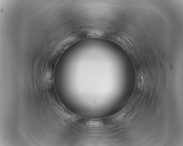 X0000086790714200704131240
