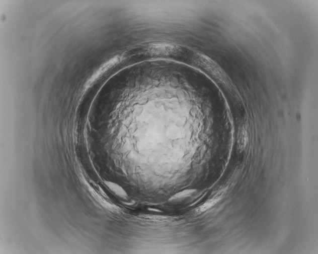 X0000086790722200704131239