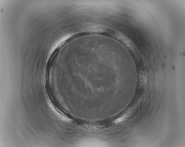 X0000086790726200704131239