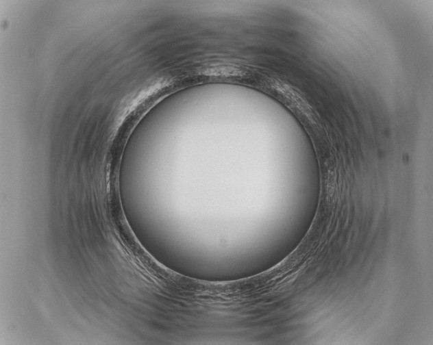 X0000086790727200704131239