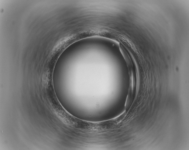 X0000086790736200704131239