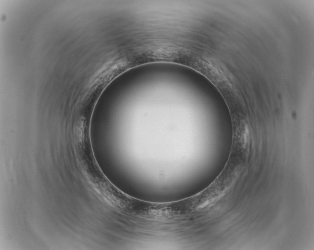 X0000086790744200704131239