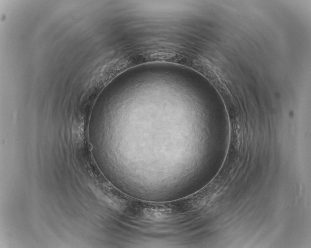 X0000086790745200704131239