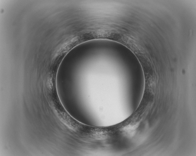 X0000086790746200704131239
