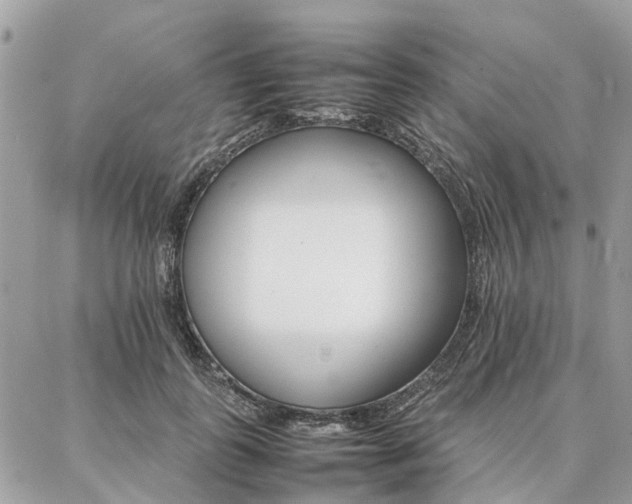 X0000086790747200704131239