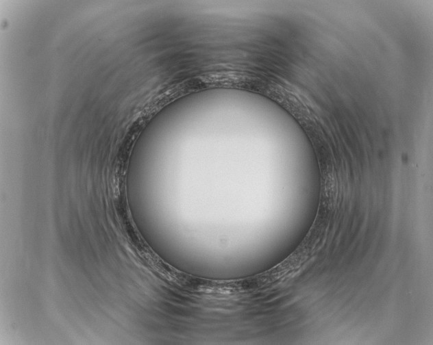 X0000086790751200704131240