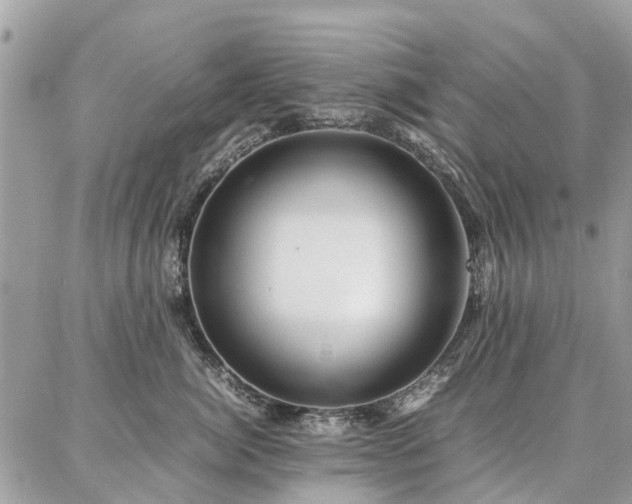 X0000086790764200704131240
