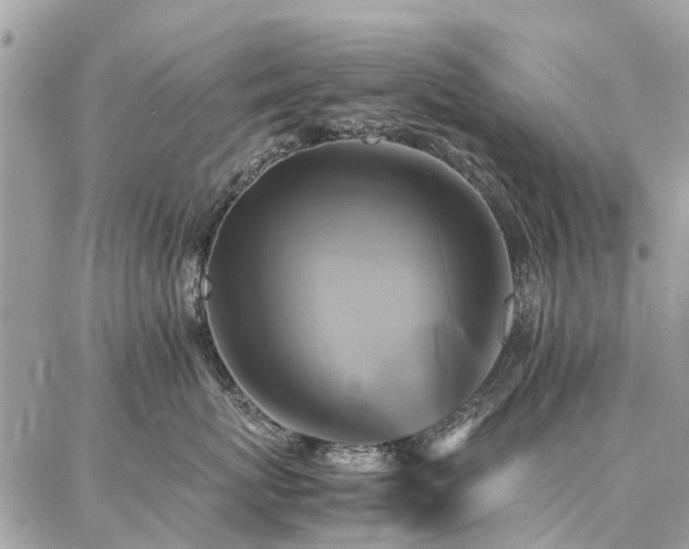 X0000086790767200704131240
