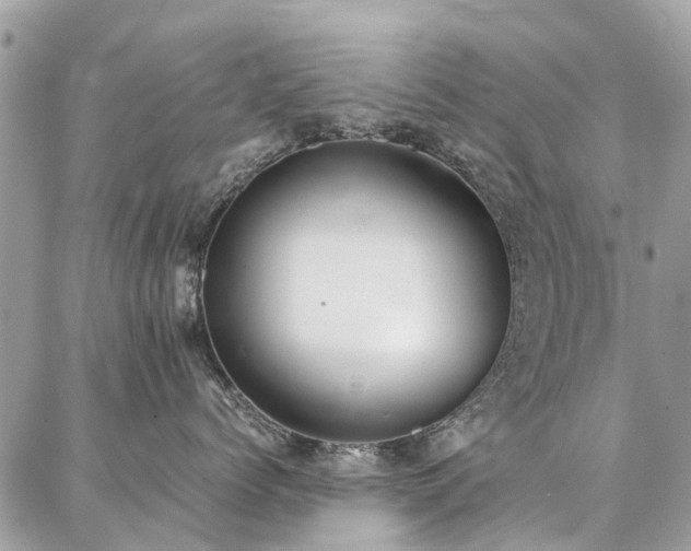 X0000086790768200704131240