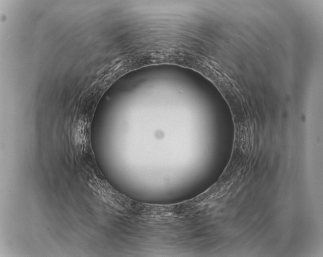 X0000086790770200704131239