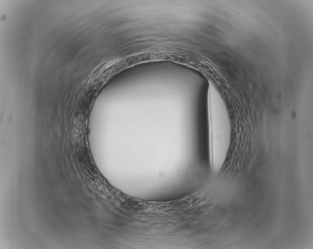 X0000086790773200704131239