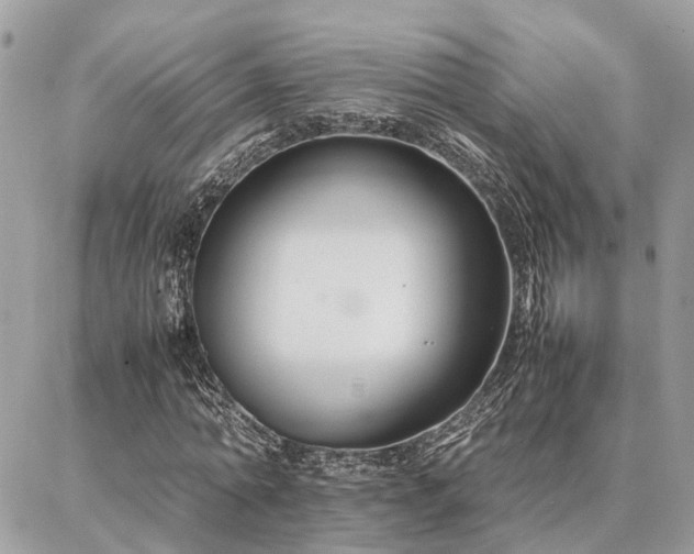 X0000086790774200704131239