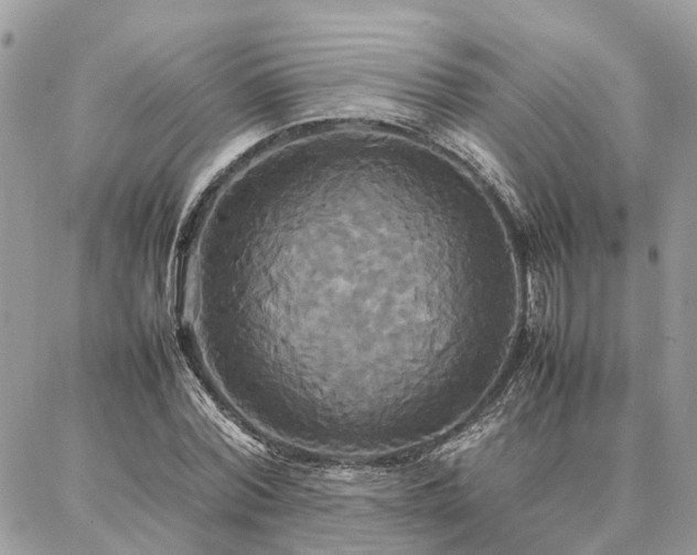 X0000086790780200704131239