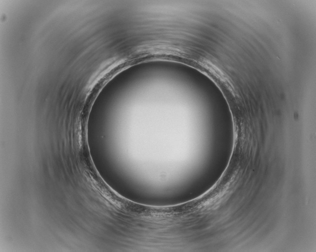 X0000086790782200704131239