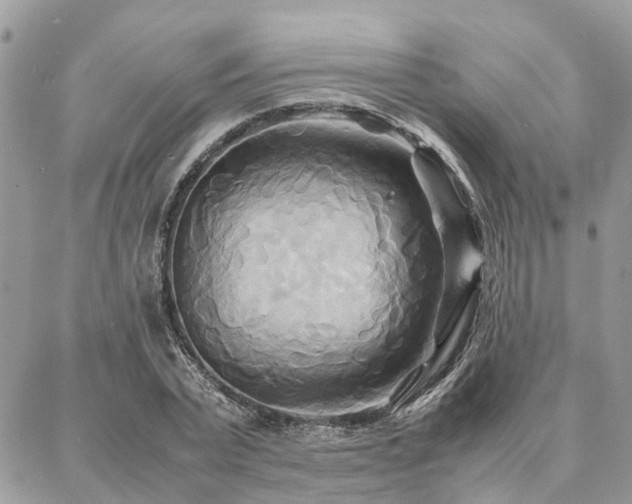 X0000086790783200704131239