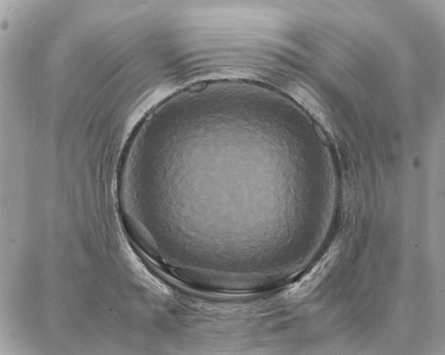 X0000086790797200704131239