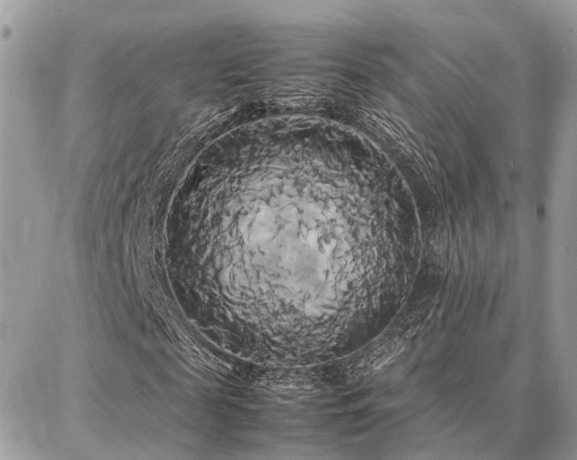 X0000086790817200704131237