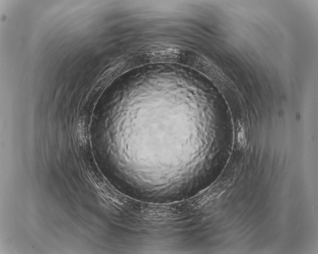 X0000086790819200704131237