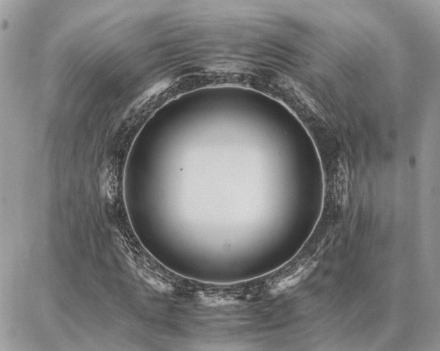 X0000086790821200704131237