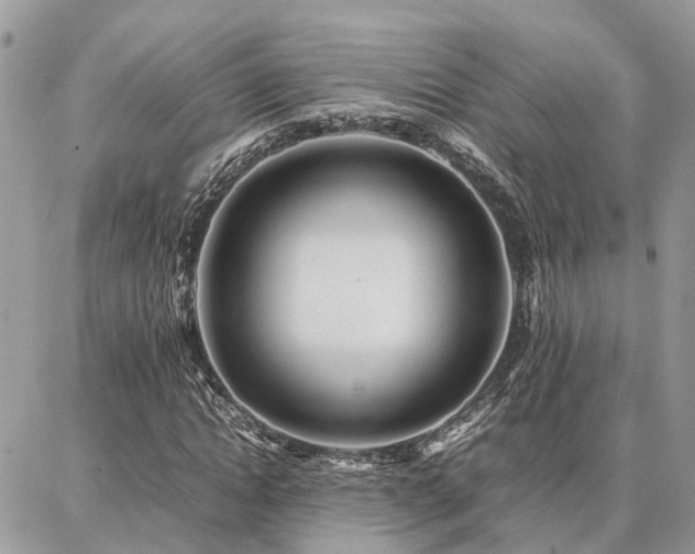 X0000086790822200704131238